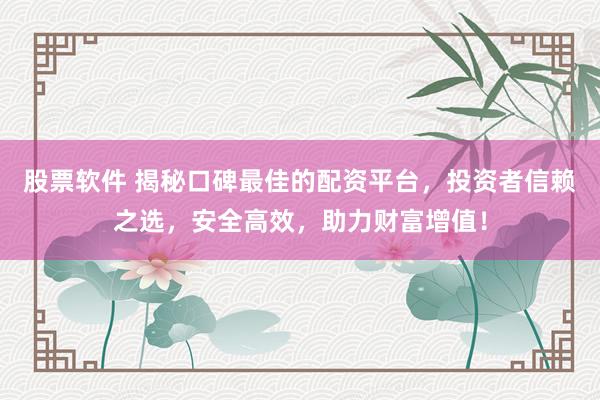 股票软件 揭秘口碑最佳的配资平台，投资者信赖之选，安全高效，助力财富增值！