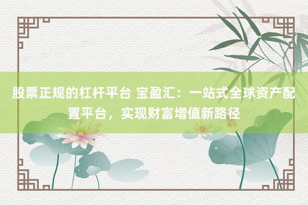 股票正规的杠杆平台 宝盈汇：一站式全球资产配置平台，实现财富增值新路径