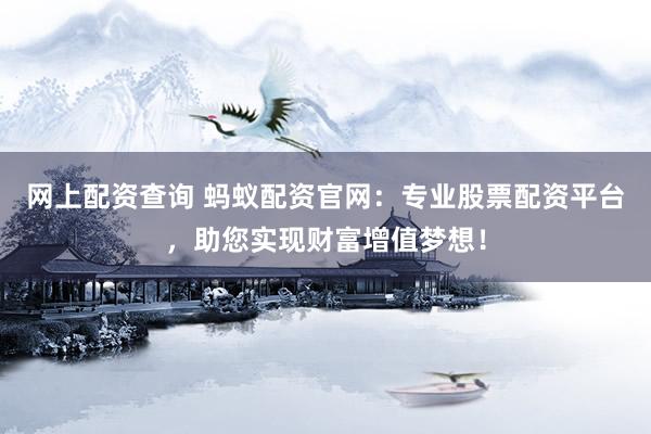 网上配资查询 蚂蚁配资官网：专业股票配资平台，助您实现财富增值梦想！