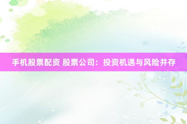 手机股票配资 股票公司：投资机遇与风险并存