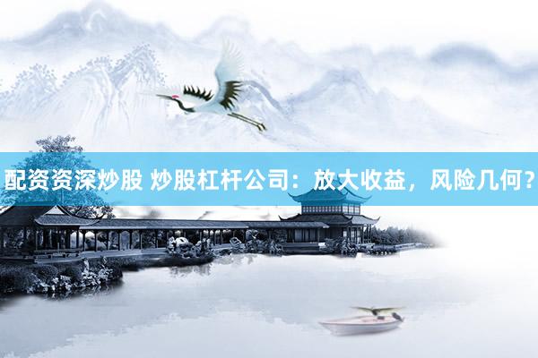 配资资深炒股 炒股杠杆公司：放大收益，风险几何？