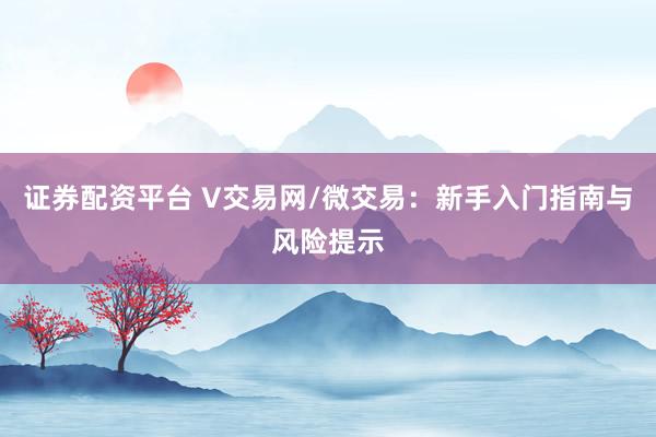 证券配资平台 V交易网/微交易：新手入门指南与风险提示