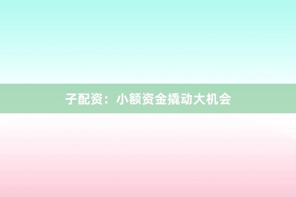 子配资：小额资金撬动大机会