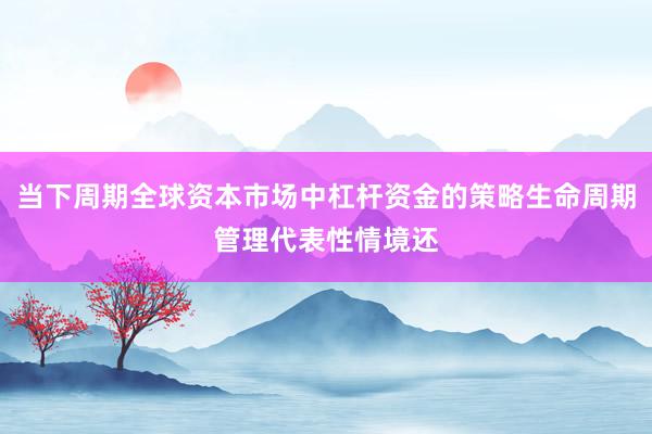 当下周期全球资本市场中杠杆资金的策略生命周期管理代表性情境还