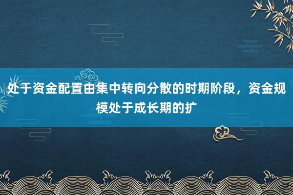 处于资金配置由集中转向分散的时期阶段,资金规模处于成长期的扩