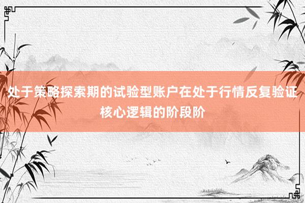 处于策略探索期的试验型账户在处于行情反复验证核心逻辑的阶段阶