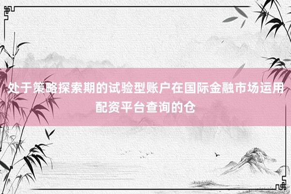 处于策略探索期的试验型账户在国际金融市场运用配资平台查询的仓