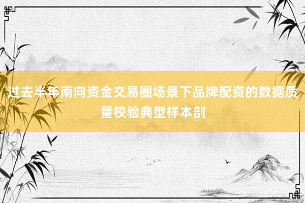 过去半年南向资金交易圈场景下品牌配资的数据质量校验典型样本剖