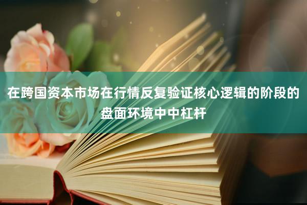在跨国资本市场在行情反复验证核心逻辑的阶段的盘面环境中中杠杆
